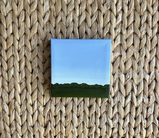 Mini Field, 5x5